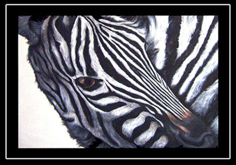 Cebra
Med. 90 x 60 Tec. Acrílico sobre tela